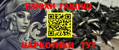 эйфоретик Кингисепп