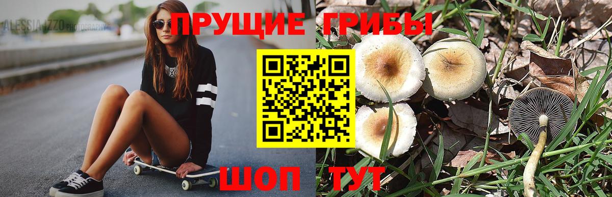 Псилоцибиновые грибы GOLDEN TEACHER  Псилоцибиновые грибы Psilocybine cubensis  Вход с VPN  Кемерово 